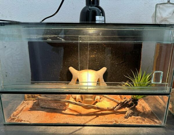 Terrarium