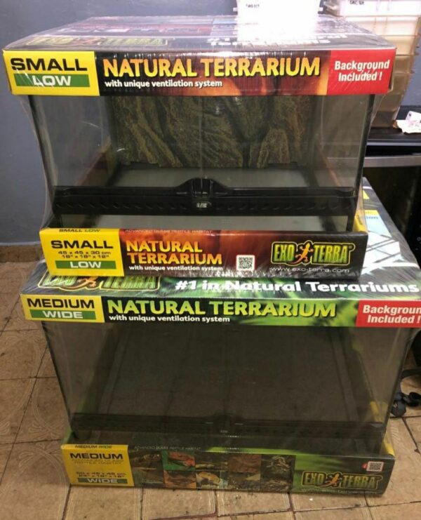 Terrarium - Image 3