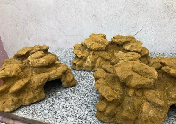 Reptile Caves - Image 4